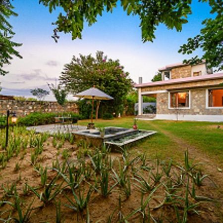 A Dog'S Story, Jaipur Bed & Breakfast Exterior foto
