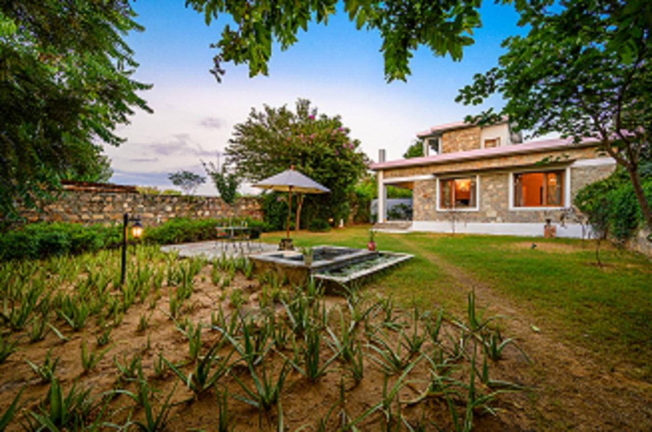 A Dog'S Story, Jaipur Bed & Breakfast Exterior foto
